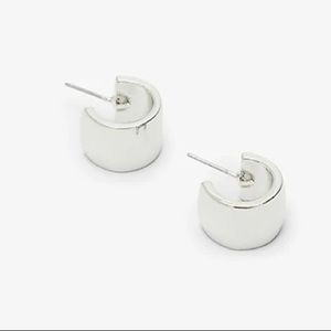 ✌🏼3/$30✌🏼Express Thick Mini Hoop Earrings